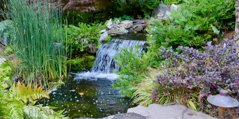 Custom pool with a stacked-stone waterfall and flowering shrubs